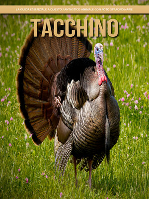 cover image of Tacchino